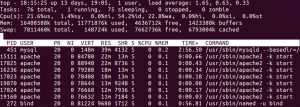 Abbildung 3: Das Linux-Standardtool &raquo;top&laquo; zeigt die Prozesse des HTTP-Servers an.