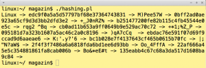 Abbildung 4: Das Perl-Skript aus <a href="#article_l2" class="listing" title=