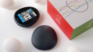 The Egg: Eiförmiger Mini-Webserver mit ebensolchem Display und Touchbedienung. Quelle: Eggcyte