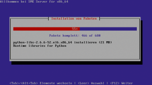 Abbildung 5: Die Installation des Koozali SME Servers läuft äußerst schlicht in einer Ncurses-Oberfläche ab.