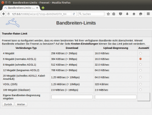 Abbildung 1: Die Installation des Freenet-Clients übernimmt dieser Assistent.