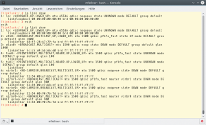 Abbildung 3: Der Admin hat eine Shell im Namespace &raquo;ns1&laquo; gestartet. Dort existiert nur das vorher angelegte Loopback-Interface.