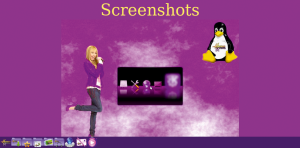 Abbildung 13: Die Macher von Hannah Montana Linux haben sich beim Theme ziemlich reingehängt.