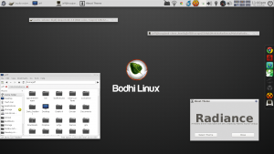 Abbildung 7: Moksha-Radiance ist eines der Themes für den Moksha-Desktop.