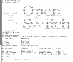 Abbildung 2: Die virtuelle Open-Switch-Instanz steht schon nach wenigen Augenblicken zum Einsatz bereit.