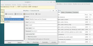 Abbildung 3: Im grafischen MySQL-Client definieren Anwender als Adresse des entfernten MySQL-Servers <code>127.0.0.1</code> und die vorher im Tunnel angegebene Portnummer (hier <code>3307</code>).