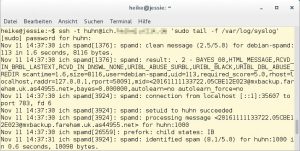 Abbildung 1: Der SSH-Schalter <code>-t</code> ermöglicht eine Interaktion des Benutzers auf der Gegenseite.