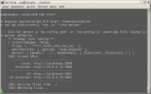 Abbildung 5: Ein HTTP-Server liefert die Angular-2-Anwendung aus, auf die der User per Browser zugreift.