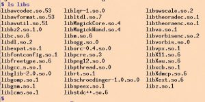 Abbildung 4: Gesammelte Shared Libs. 