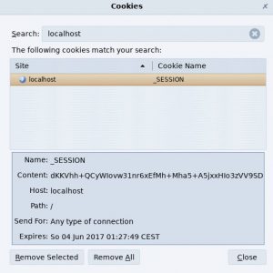 Abbildung 6: Firefox zeigt den verschlüsselten Inhalt eines Cookie an. Normalerweise sind die von Yesod erzeugten Cookies zwei Stunden lang gültig.