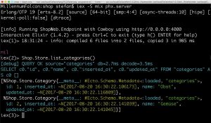 Abbildung 4: Auf der Phoenix-Konsole l&auml;sst sich per <code>Shop.Store.list_categories()</code> interaktiv die Kategorien-Liste abfragen. 