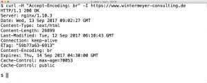 Abbildung 1: Die Webseite des Autors unterstützt Brotli, wie eine Serveranfrage mit Curl verrät.