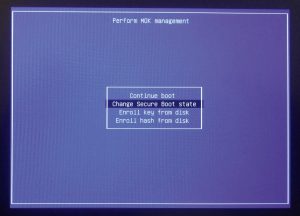 Abbildung 3: Quick and unsecure: In Shim lässt sich das Validieren von Unterschriften deaktivieren.
