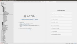 Abbildung 1: Was man Atom nicht ansieht – der erweiterbare Editor basiert auf HTML und Javascript.