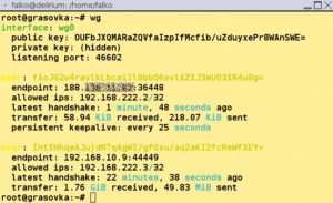 Abbildung 1: Wer <code>wg</code> ohne weitere Optionen aufruft, sieht, wie es um die Tunnel steht. Die Attribute lassen sich bei Bedarf filtern und farblich anpassen.
