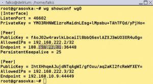 Abbildung 2: <code>wg showconf</code> gießt bestehende Tunnel in eine Konfigurationsdatei. Die lässt sich bei Bedarf schnell wieder herstellen.