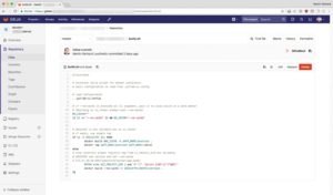 Abbildung 3: <code>build.sh</code> im Beispiel: Diese Variante des Skripts baut das Abbild und versieht es mit einem Tag.