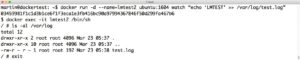 Abbildung 3: »docker exec« katapultiert den Admin in eine Shell innerhalb des Containers, wo er sich dann umsehen kann.