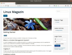 Abbildung 3: Auf Wunsch installiert Joomla eine von mehreren Beispielseiten, die sich sehr gut als Ausgangspunkte für den eigenen Internetauftritt eignen.