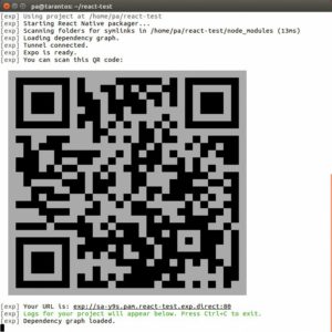 Abbildung 3: Expo bietet die App zum Laden im Expo-Client wie eine Website an.