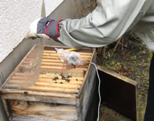 Abbildung 2: Noch steckt der Minirechner in einer provisorischen H&uuml;lle. Ein wasserfestes Geh&auml;use und ein Solarmodul f&uuml;r die kabellose Stromzufuhr stehen auf der Einkaufsliste.