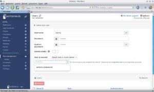 Abbildung 8: Über die Userverwaltung vergibt der Admin Zugriffsrechte in Portainer an Dritte.
