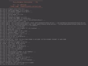 Abbildung 1: Die Installation des Fai-Servers geschieht vollständig im Textmodus.