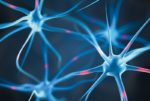 Neuronen, (C) ssilver/123rf.com