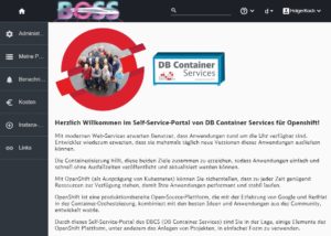 Abbildung 2: Das Self-Service-Portal der Bahn für Container, eine Eigenentwicklung.