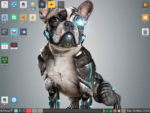 Die Entwickler der extrem leichtgewichtigen Distribution Puppy Linux haben die Version 8 veröffentlicht. Sie basiert auf Ubuntu 18.04 „Bionic“,