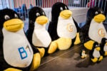 Die meisten Linux-Systeme sind nun von der Altersverifikation nicht betroffen.