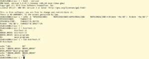 Abbildung 2: Die neue stabile Bash-Version 5 der Free Software Foundation in Aktion.
