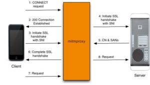 Abbildung 5: Mitmproxy hängt sich zwischen Client und Server und präsentiert sich dem Client als Server und dem Server als Client.
