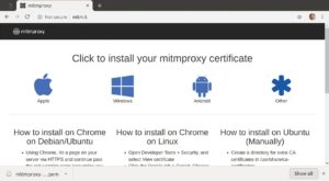 Abbildung 8: Für Instruktionen, um Linux ein Mitmproxy-konformes CA-Zertifikat unterzujubeln, ist hier »Other« zu drücken.