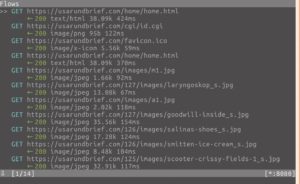 Abbildung 6: Scheinbar mühelos lauscht Mitmproxy auf verschlüsselten HTTPS-Verbindungen mit.