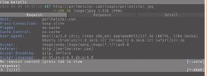 Abbildung 2: Auf Tastendruck [Enter] zeigt der Proxy detaillierte Request-/Response-Daten.