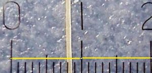 Abbildung 6: Die Skala von 2 Millimeter Länge eingeblendet im Eichbild für Mikroaufnahmen.