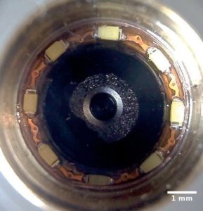 Abbildung 3: Der benutzte USB-Kamerakopf, umgeben von acht Micro-LEDs.