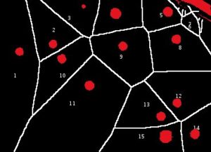 Abbildung 14: Die errechneten Voronoi-Linien, überlagert mit durchnummerierten Partikeln. Quelle: Joaquin D Taylor, CC BY 4.0, https://creativecommons.org/licenses/by/4.0/