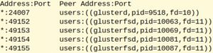 Abbildung 1: Netzwerk-Ports auf einem Gluster-Node mit vier aktiven Bricks.