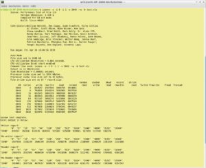 Abbildung 7: Auch Iozone bietet eine enorme Informationsvielfalt im Terminal.