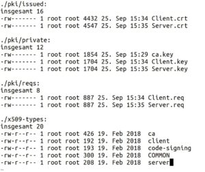 Abbildung 2: Die mit »build-server-full« erzeugten Credentials.