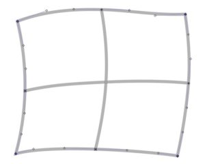 Abbildung 2: Ein 2x2-Netzwerk aus Bézierkurven.