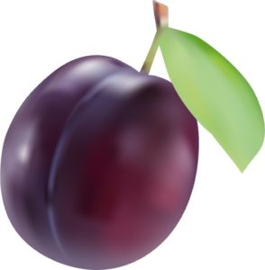 Abbildung 7: Lokal verfeinertes Gradient Mesh einer Pflaume und der darauf basierende Farbverlauf.