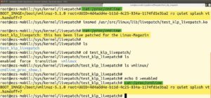 Abbildung 3: Ein Beispiel f&uuml;r das Live-Patching in der Praxis.