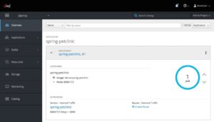 Abbildung 3: Neben Kubernetes wie hier in Form von Red Hats Open Shift soll Istio in Zukunft &hellip;