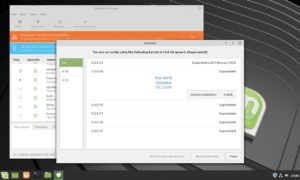 Abbildung 2: Der &uuml;berarbeitete Updatemanager in Mint 19.2 erleichtert die Kernel-Verwaltung.