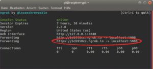 Abbildung 3: Die Ausgabe von Ngrok. Die HTTPS-URL ist später noch nötig.
