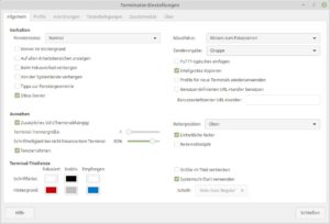 <a href="#artRef-f7">Abbildung 7</a>: Terminator bietet einen sehr detaillierten grafischen Einstellungsdialog.
