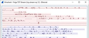 <a href="#artRef-f8">Abbildung 8</a>: Der DNS-Servername bleibt sichtbar, auch wenn der Verkehr verschl&uuml;sselt ist.